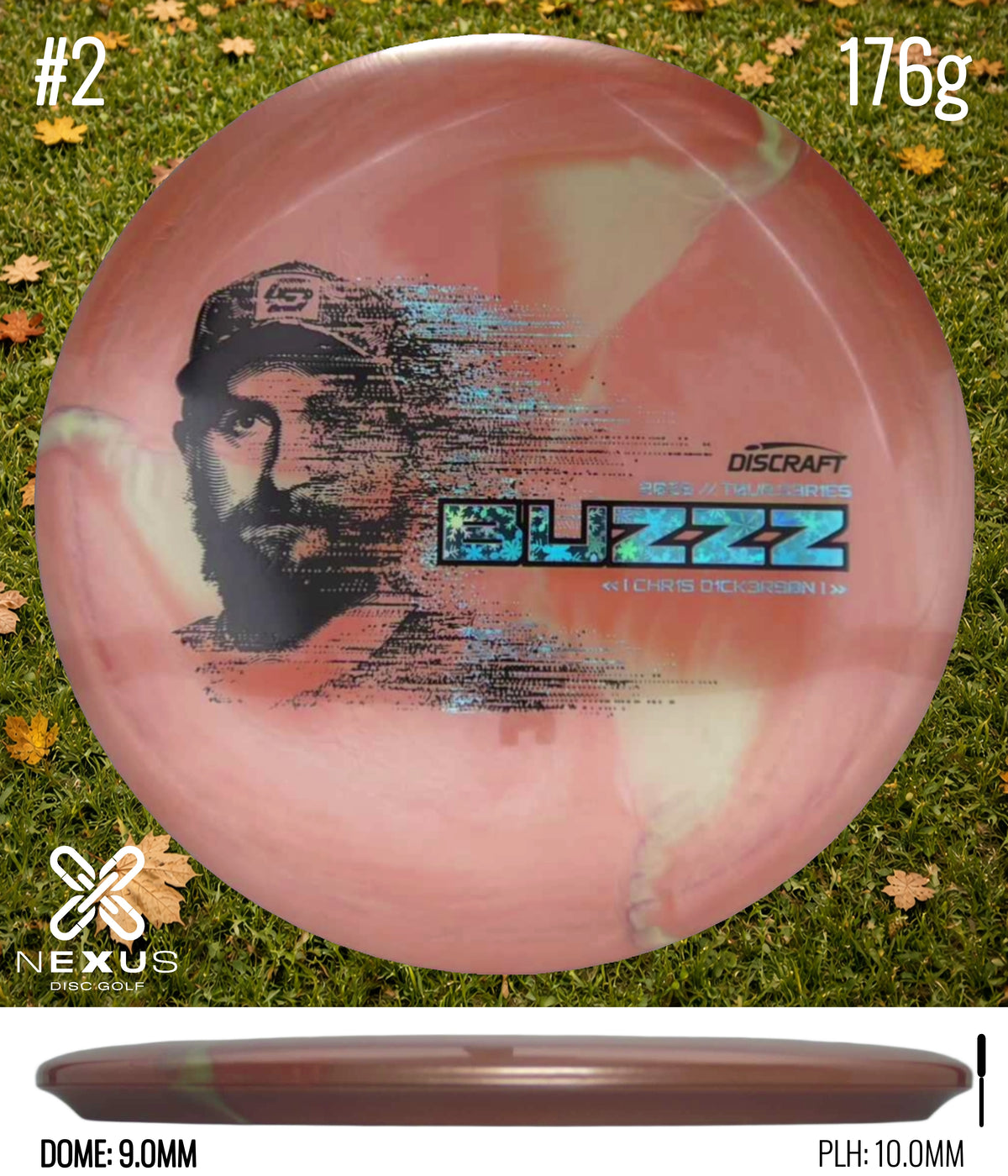 Discraft Buzzz (Tour Series Titanium)