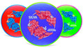 Axiom Plasma Proxy (Soft) - Silva Saarinen TS26