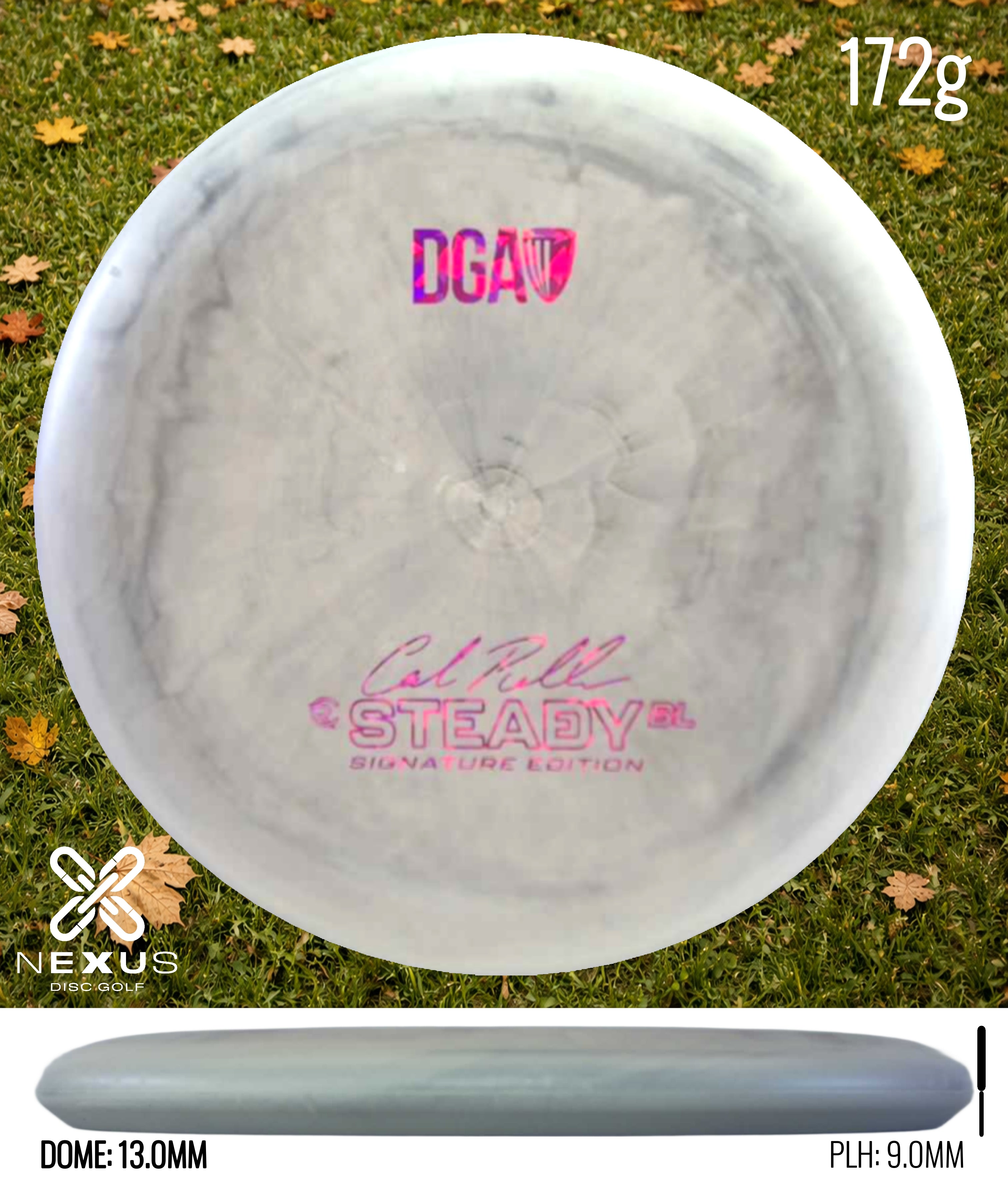DGA Steady BL (Signature)