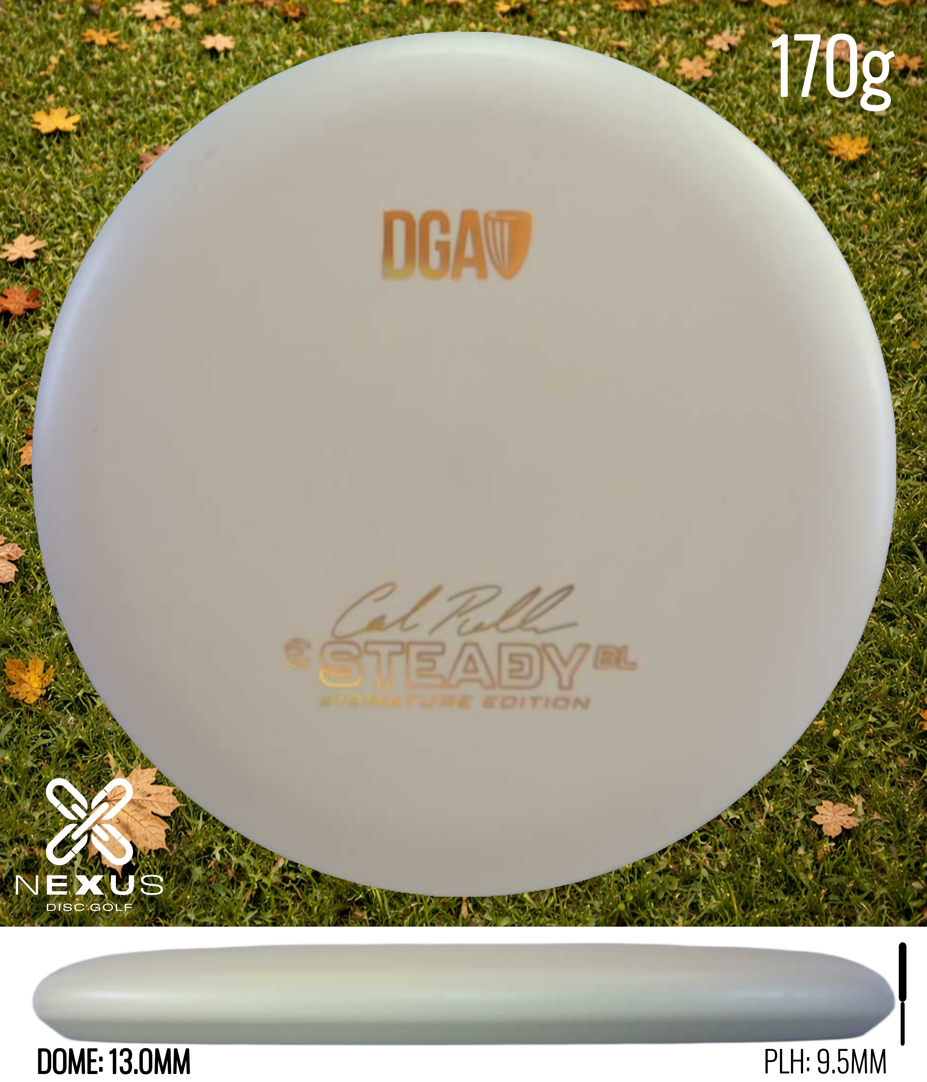 DGA Steady BL (Signature)
