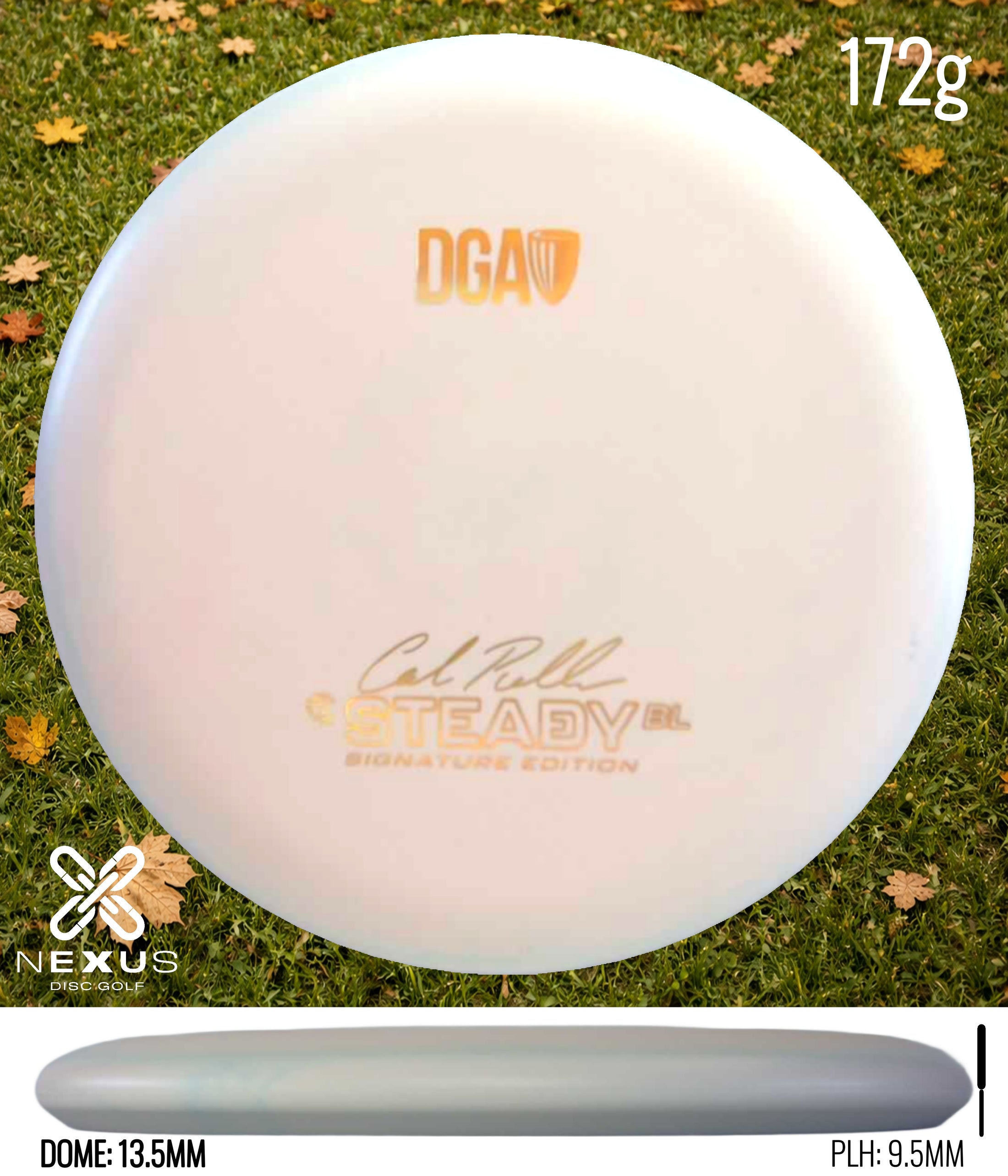DGA Steady BL (Signature)