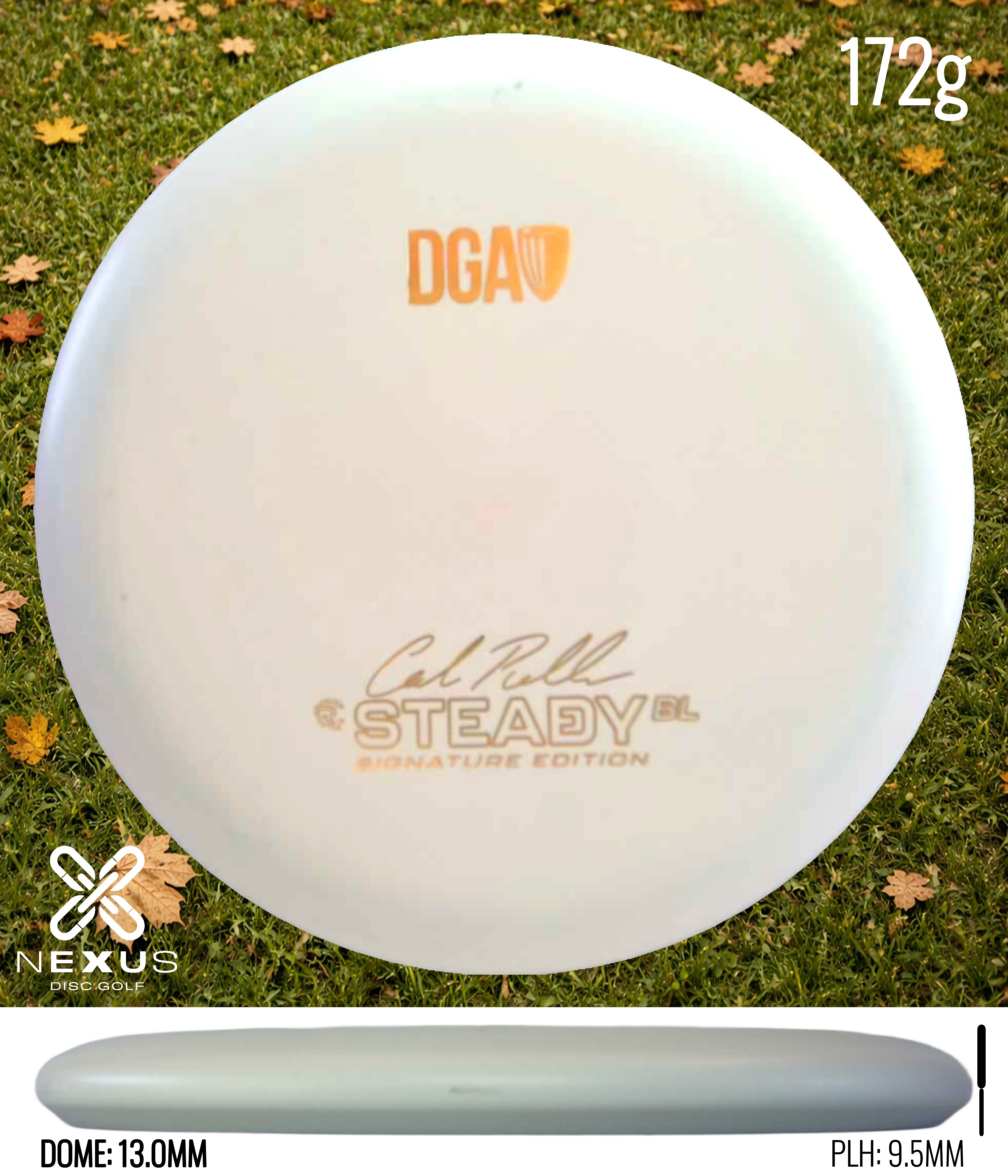 DGA Steady BL (Signature)