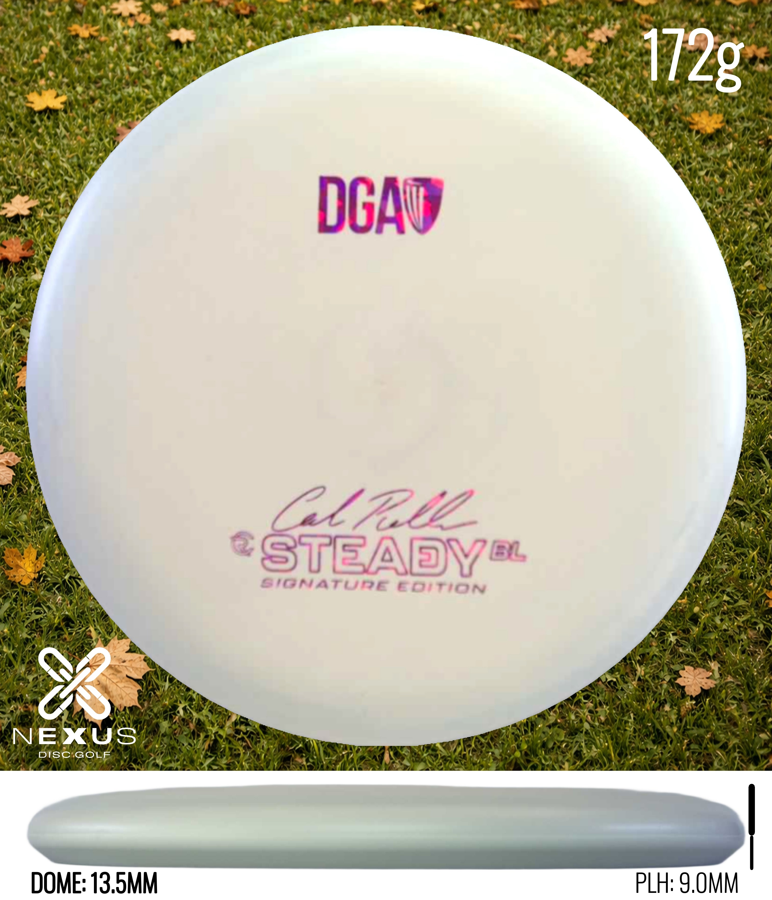 DGA Steady BL (Signature)