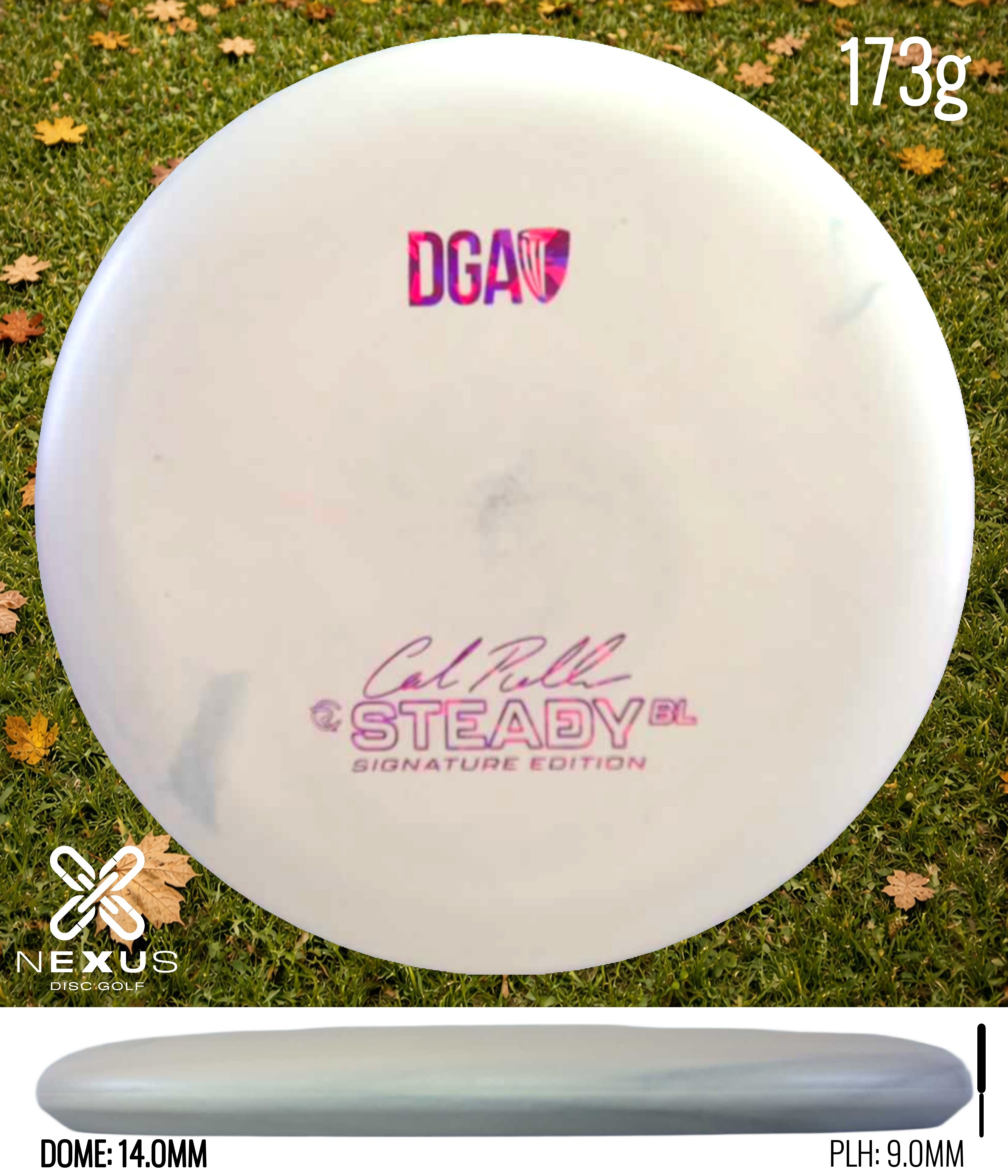 DGA Steady BL (Signature)