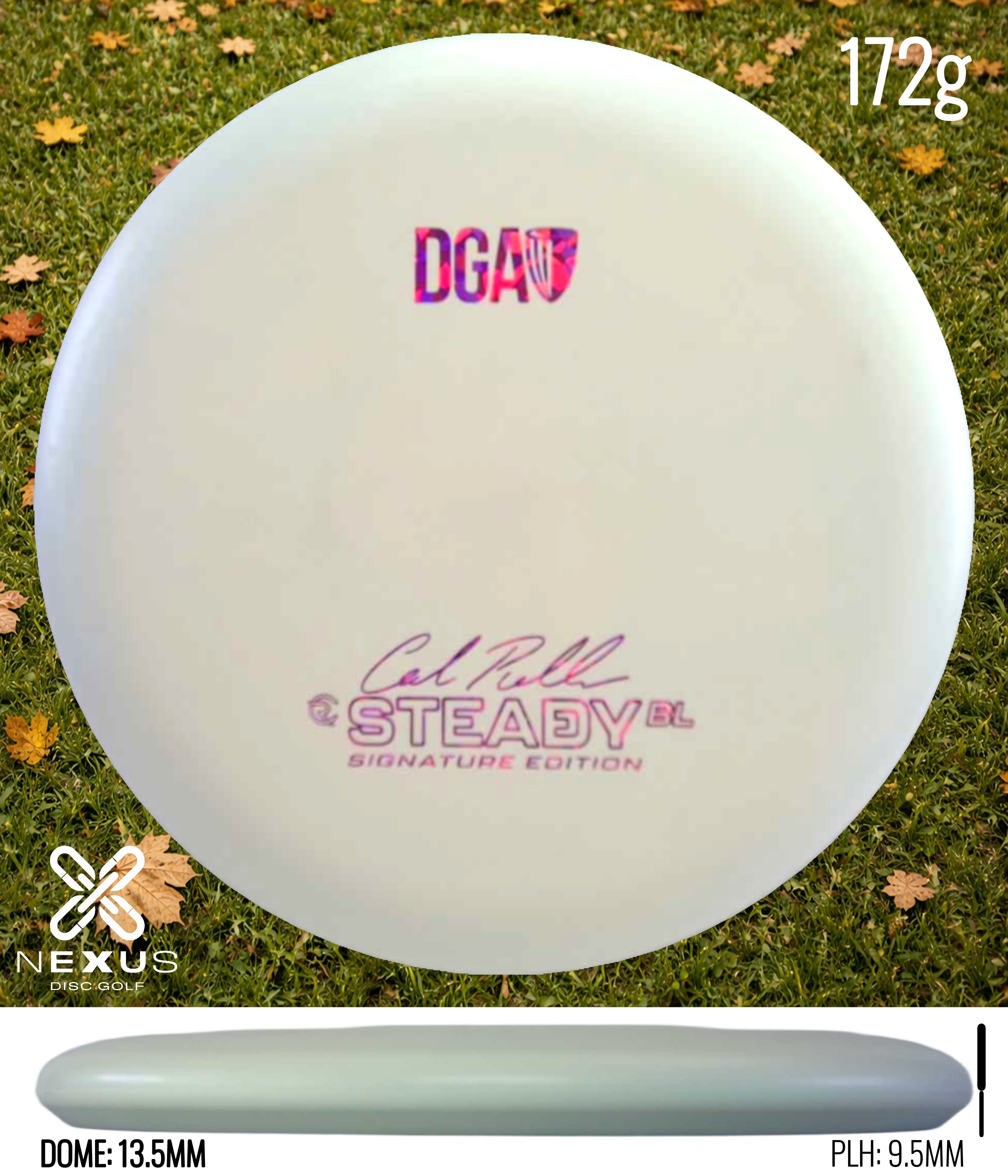 DGA Steady BL (Signature)