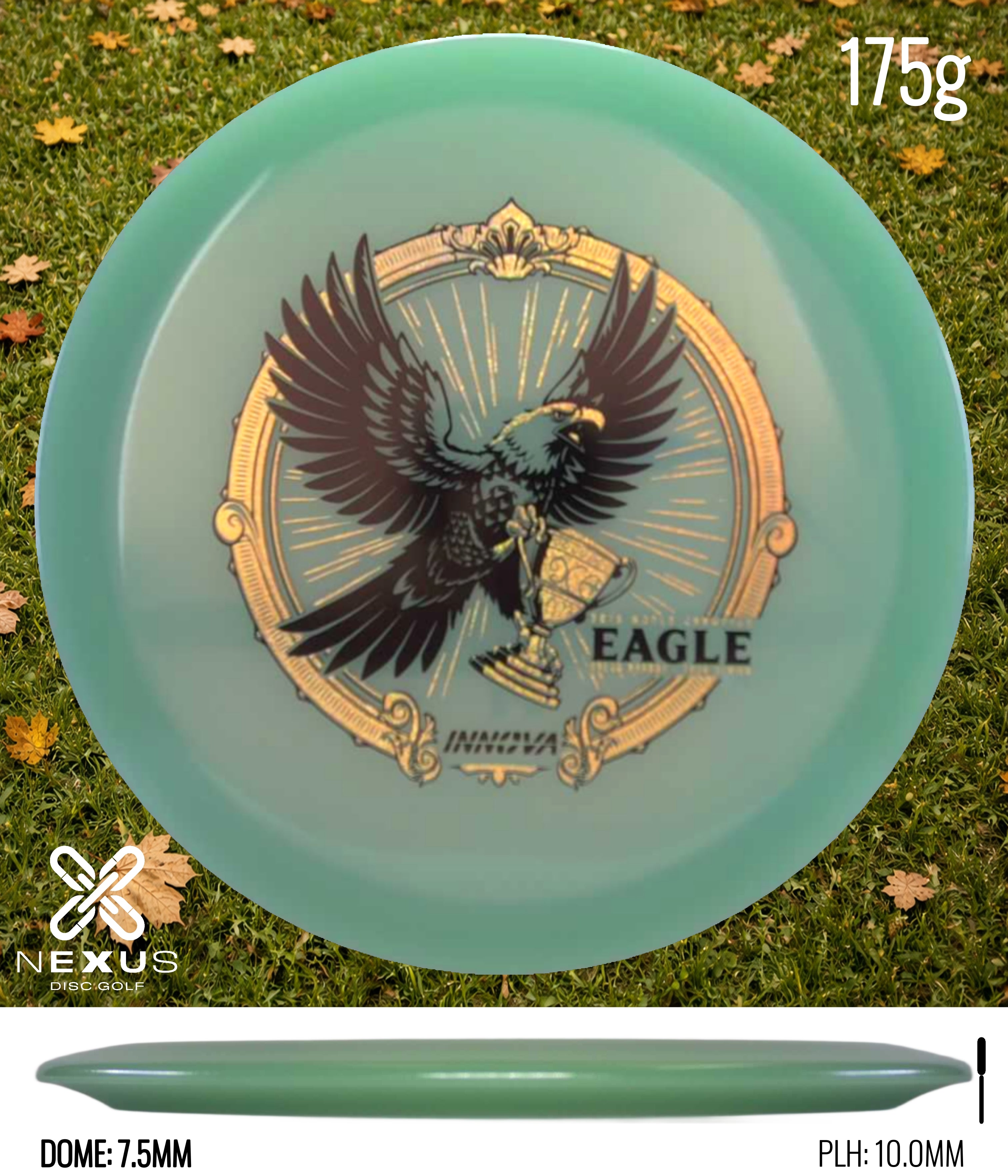 Innova Eagle (Proto Glow Champion)