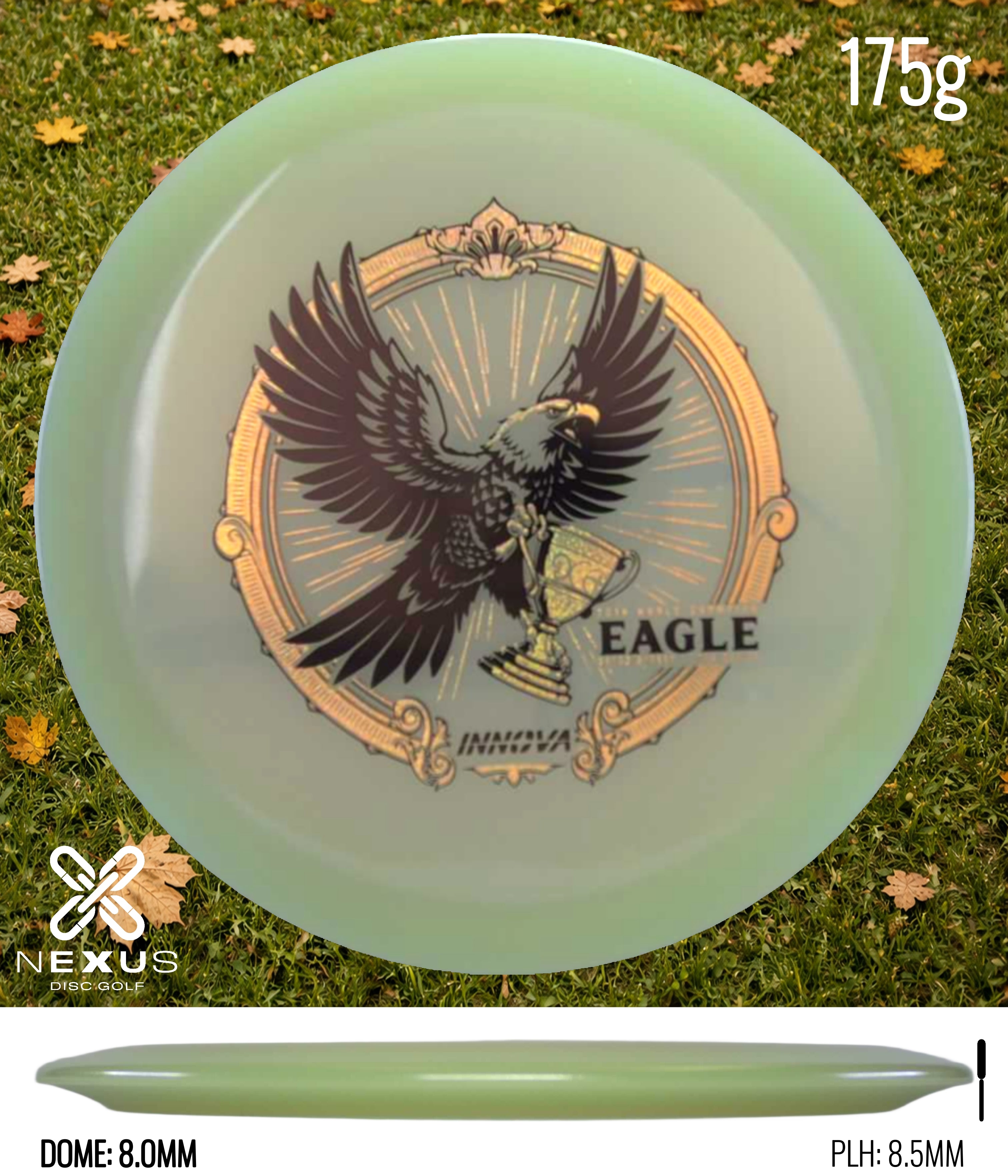 Innova Eagle (Proto Glow Champion)