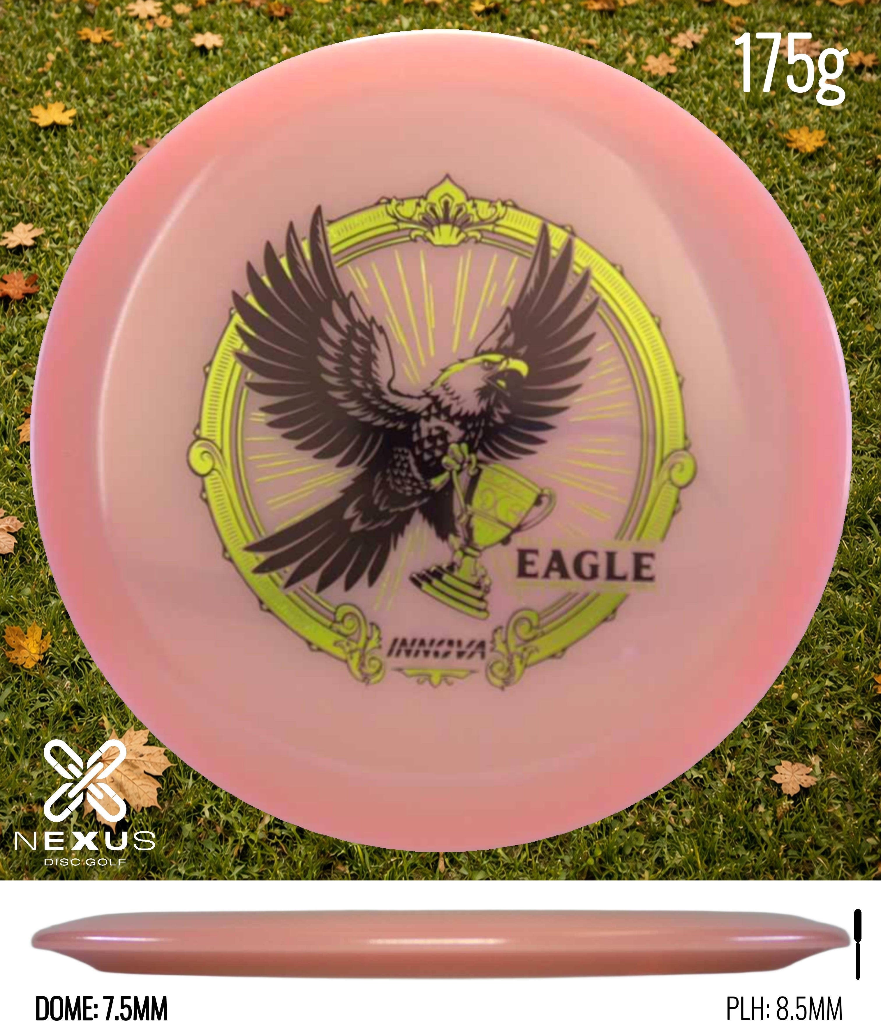 Innova Eagle (Proto Glow Champion)