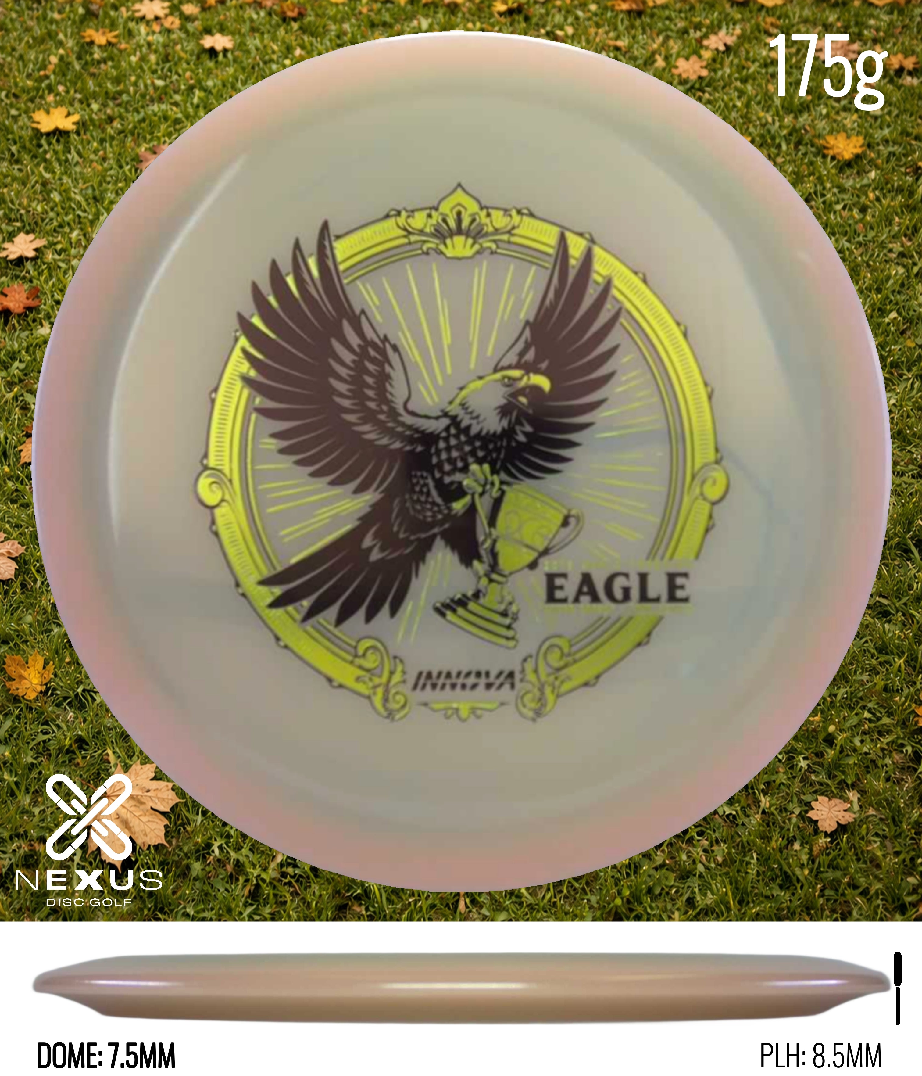 Innova Eagle (Proto Glow Champion)