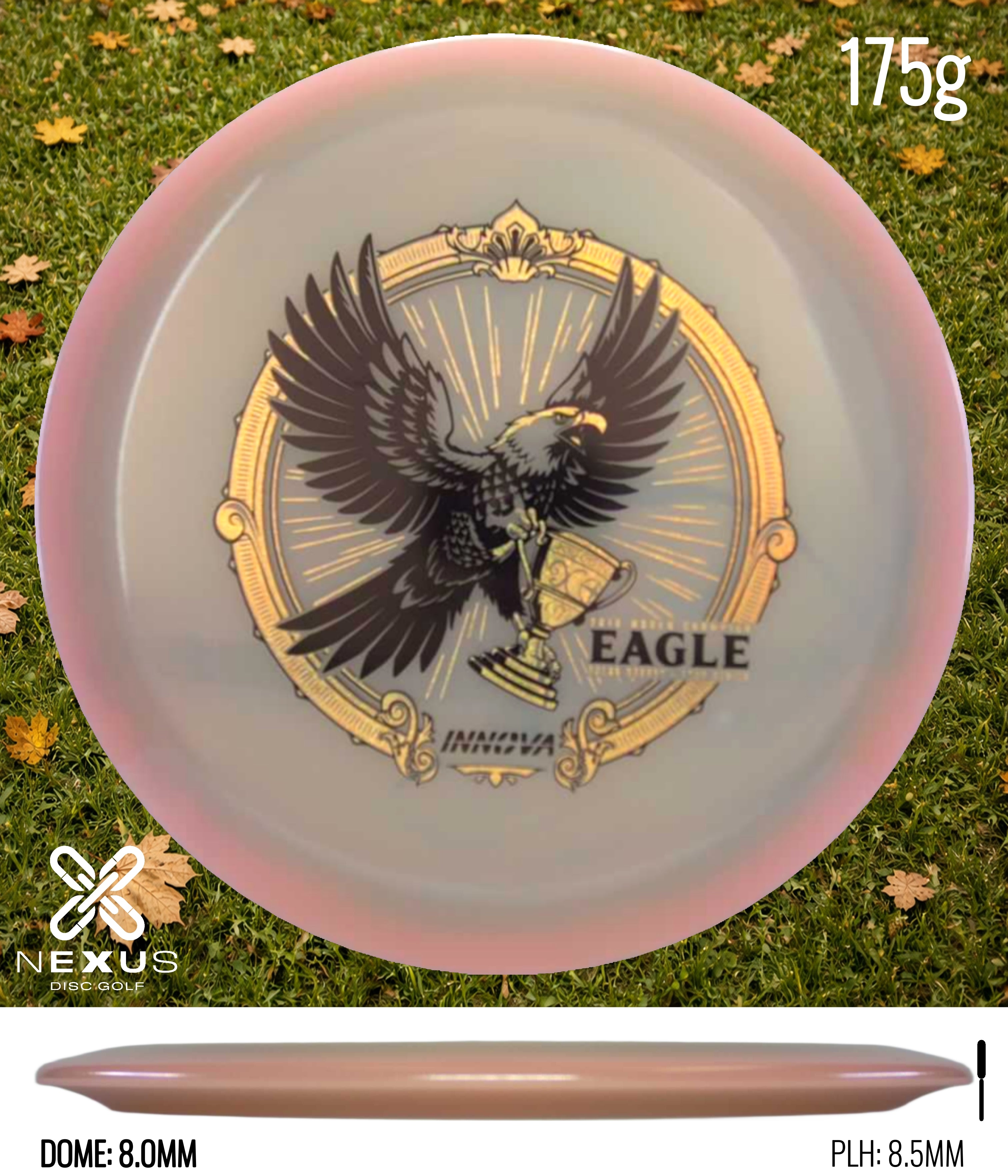 Innova Eagle (Proto Glow Champion)