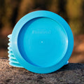 Procyon