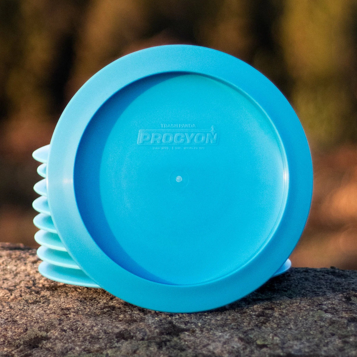 Procyon